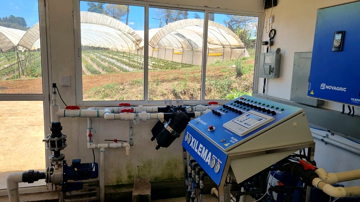 Seguimiento operativo del cultivo.