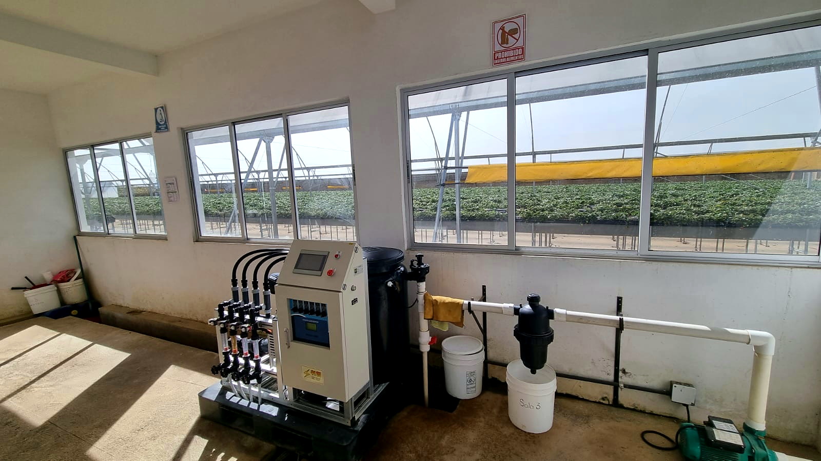 Producción agrícola tecnificada de Avalju